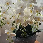 Bed & Breakfast Sobe/rooms Riva Zadar