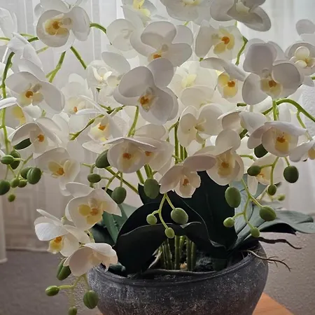 Couette-café Sobe/rooms Riva Zadar