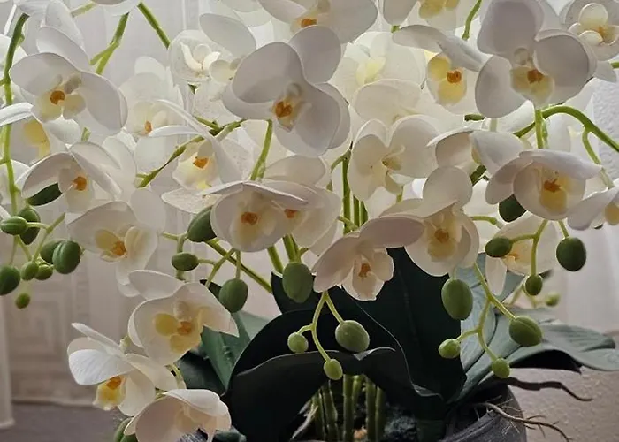 Alojamento de Acomodação e Pequeno-almoço Sobe/rooms Riva Zadar