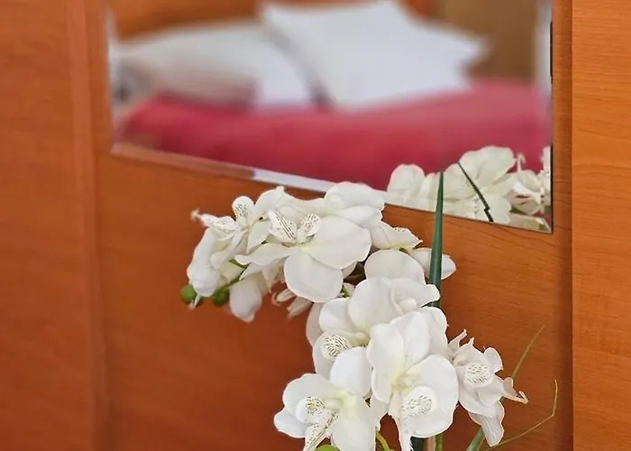 Sobe/rooms Riva Отель типа 